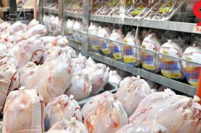 امرالهی: مرغ را گران‌تر از این قیمت نخرید